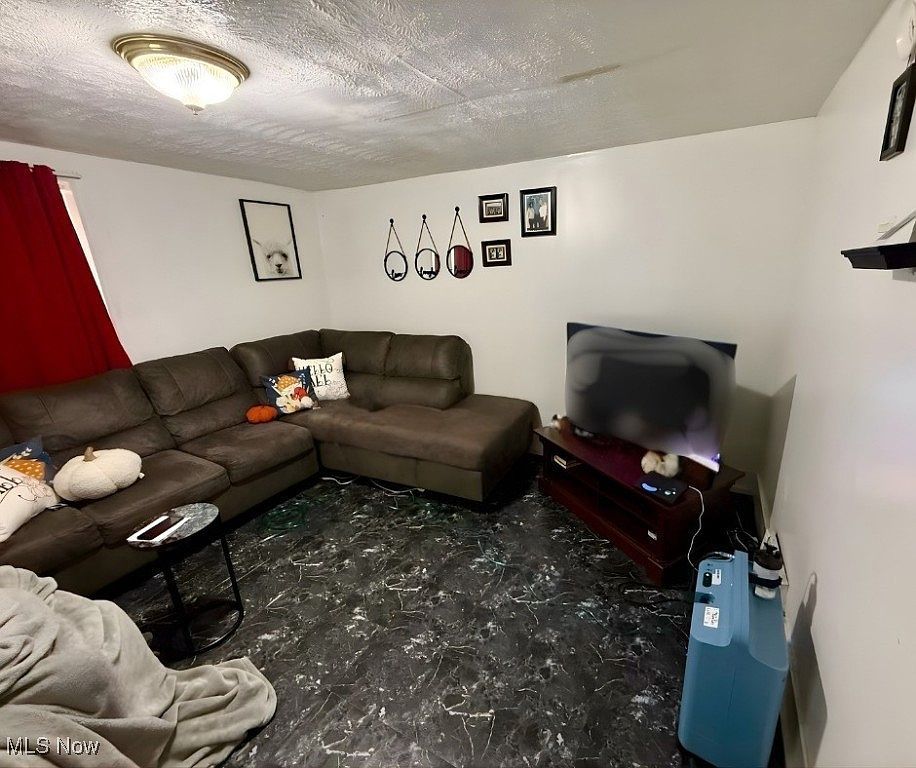 477 Henry St Painesville, OH 44077 - Thumbnail 3