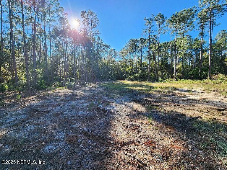 5356 Nutwood Ave Bunnell, FL 32110 - Thumbnail 3