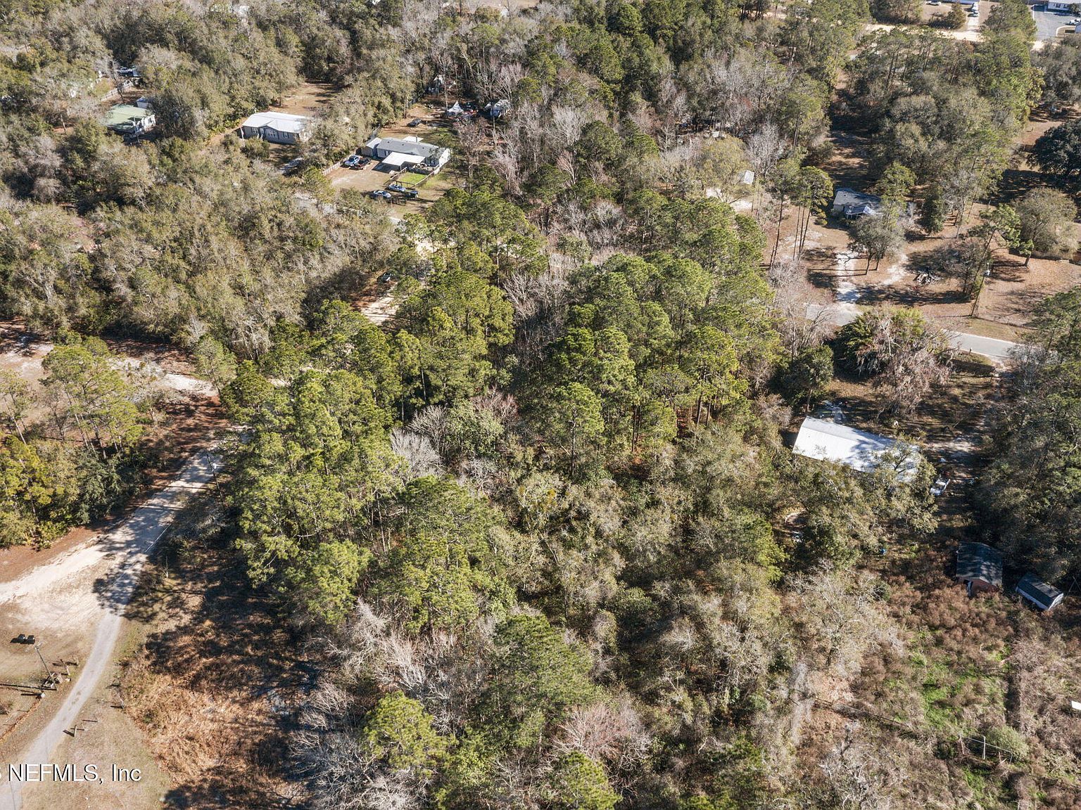 8701 Poppy Ct Middleburg, FL 32068 - Thumbnail 3