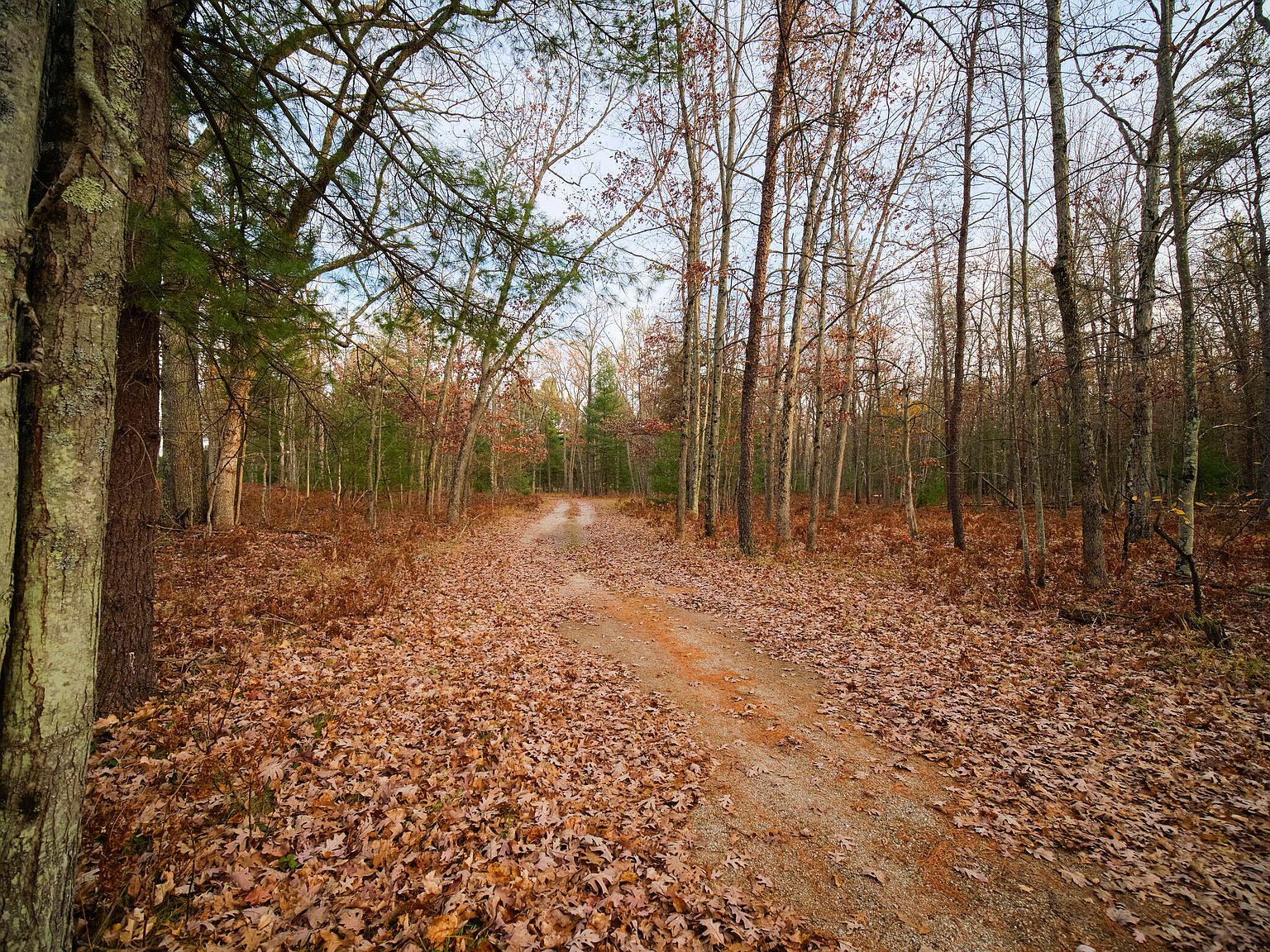 626 Skocelas Rd N Manistee, MI 49660 - Thumbnail 3