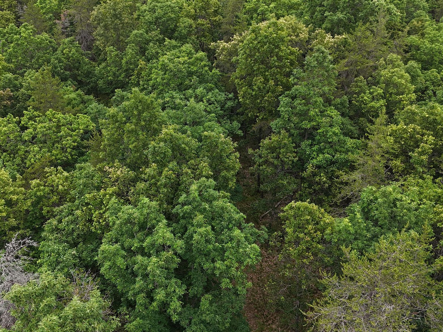 N Custer Rd Manistee, MI 49660 - Thumbnail 3