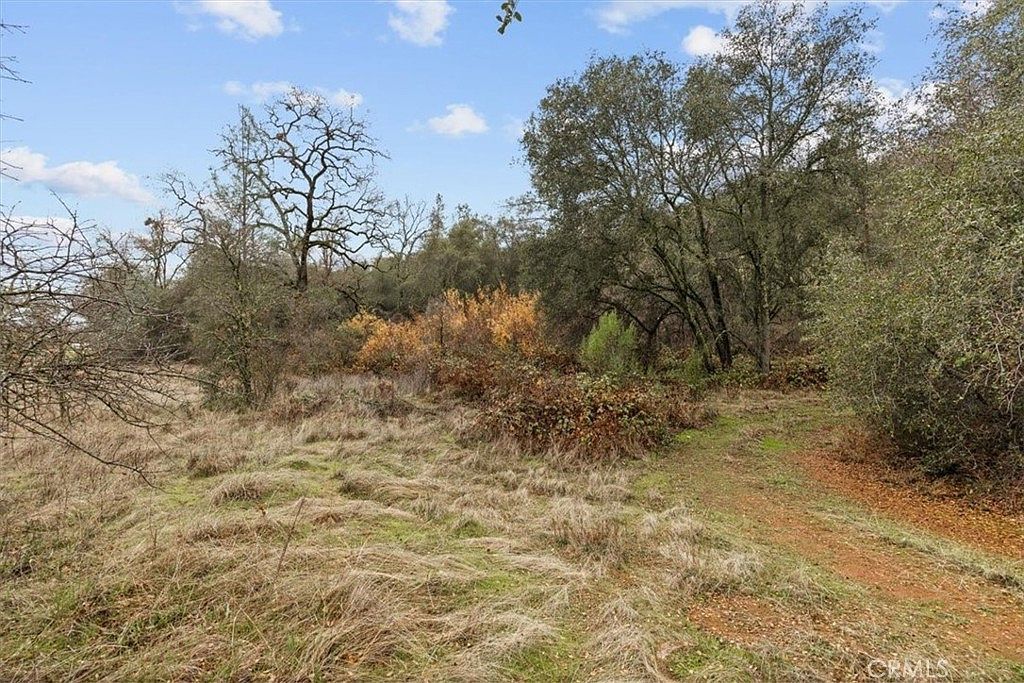 10996 Peoria Rd Browns Valley, CA 95918 - Thumbnail 3