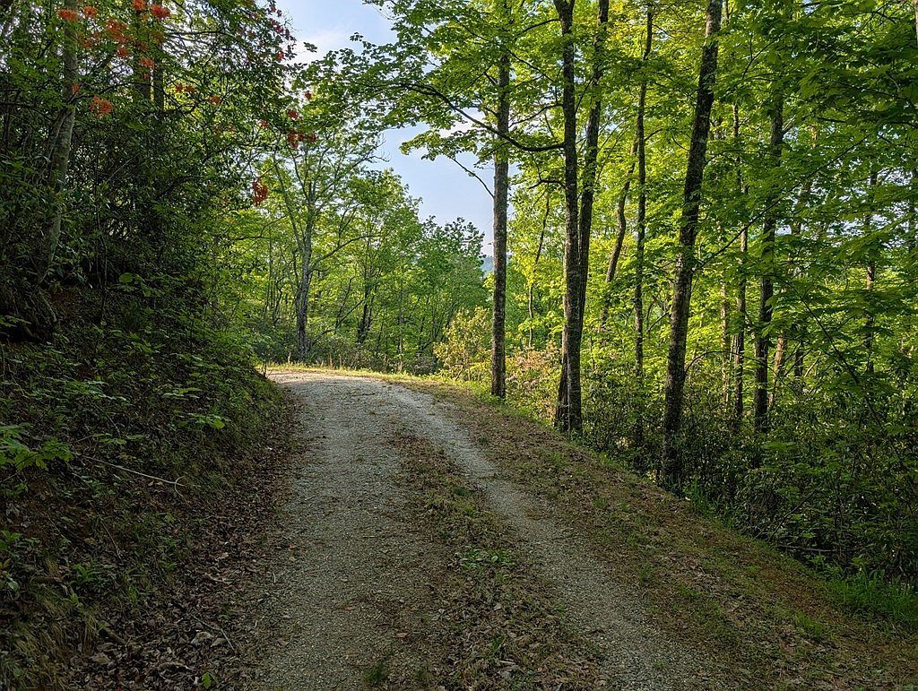 0 Cherokee Mine Rd Franklin, NC 28734 - Thumbnail 3