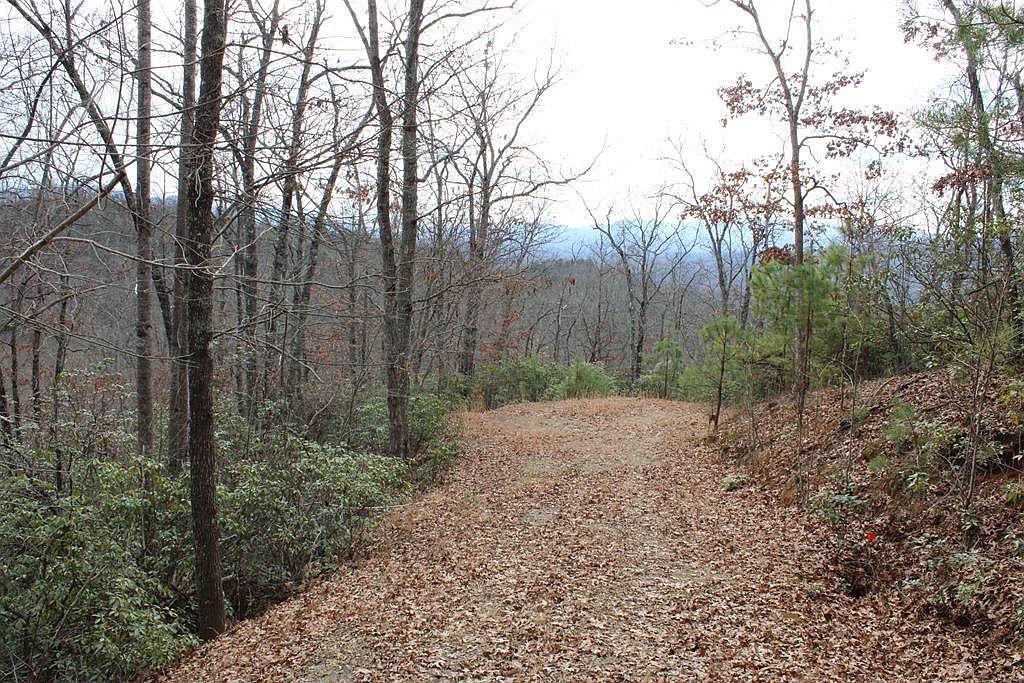 0 Lyle Knob Rd Franklin, NC 28734 - Thumbnail 3