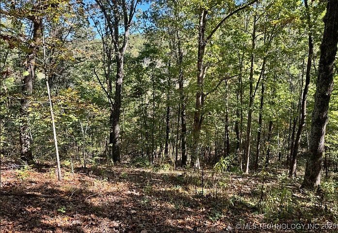 6620 N Starr Ridge Rd Proctor, OK 74457 - Thumbnail 3