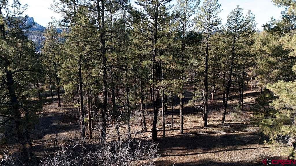 957 Starling Cir Pagosa Springs, CO 81147 - Thumbnail 3