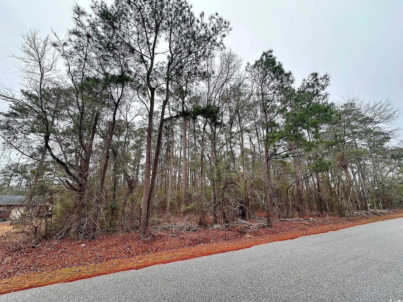 5370 Crutchlow Ct Nichols, SC 29581 - Thumbnail 3