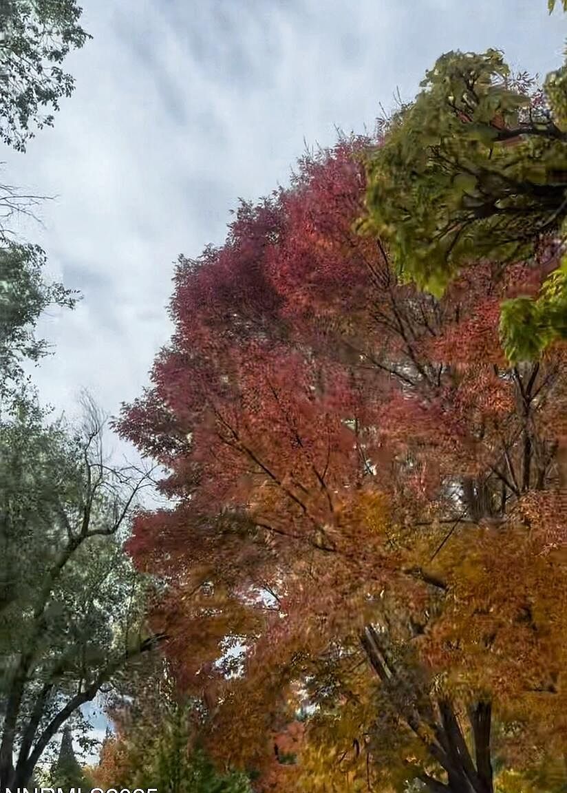 611 Nixon Ave Reno, NV 89509 - Thumbnail 3