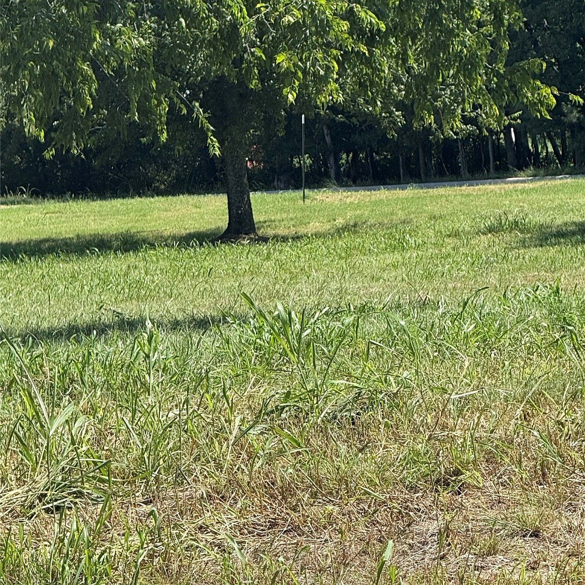 133 Dove Meadow Ln Glen Rose, TX 76043 - Thumbnail 3