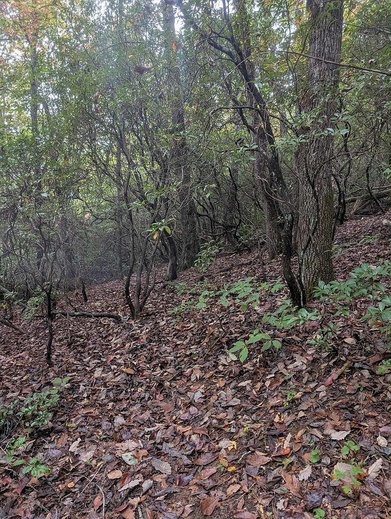 5.47 Ac Sierra Run Blairsville, GA 30512 - Thumbnail 3