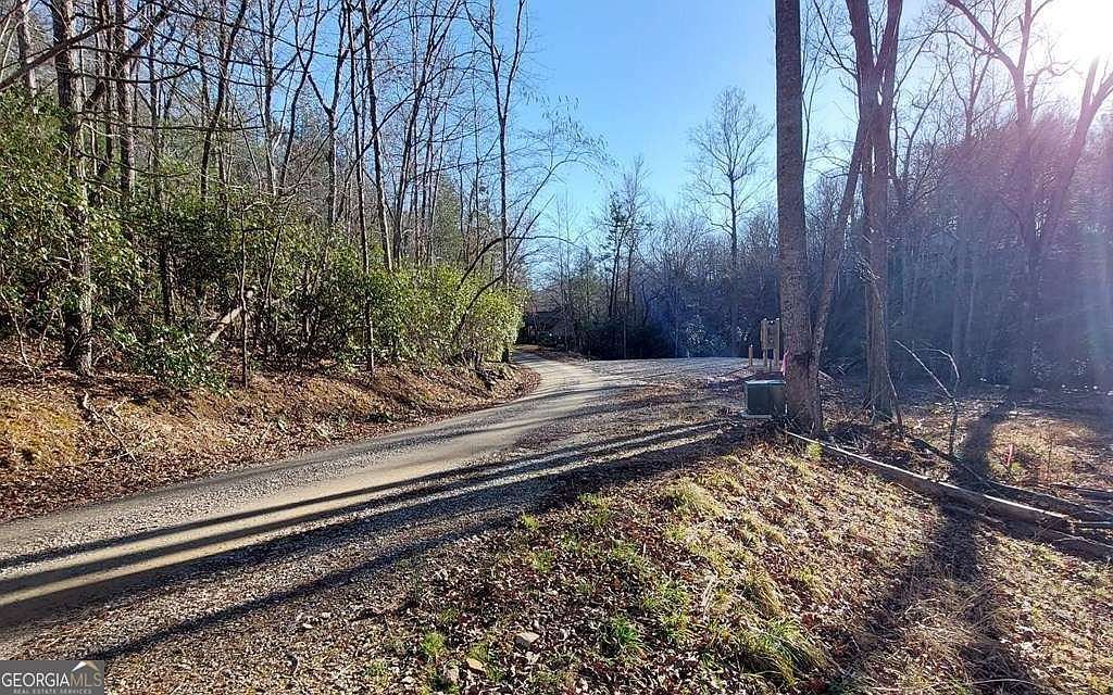 193 Opossum Rd #61 Blairsville, GA 30512 - Thumbnail 3