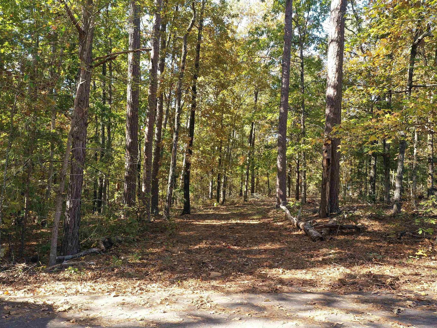 450 Crockett Rd Greers Ferry, AR 72067 - Thumbnail 3