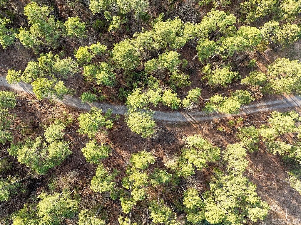 260 Sawmill Rd S Quitman, AR 72131 - Thumbnail 3