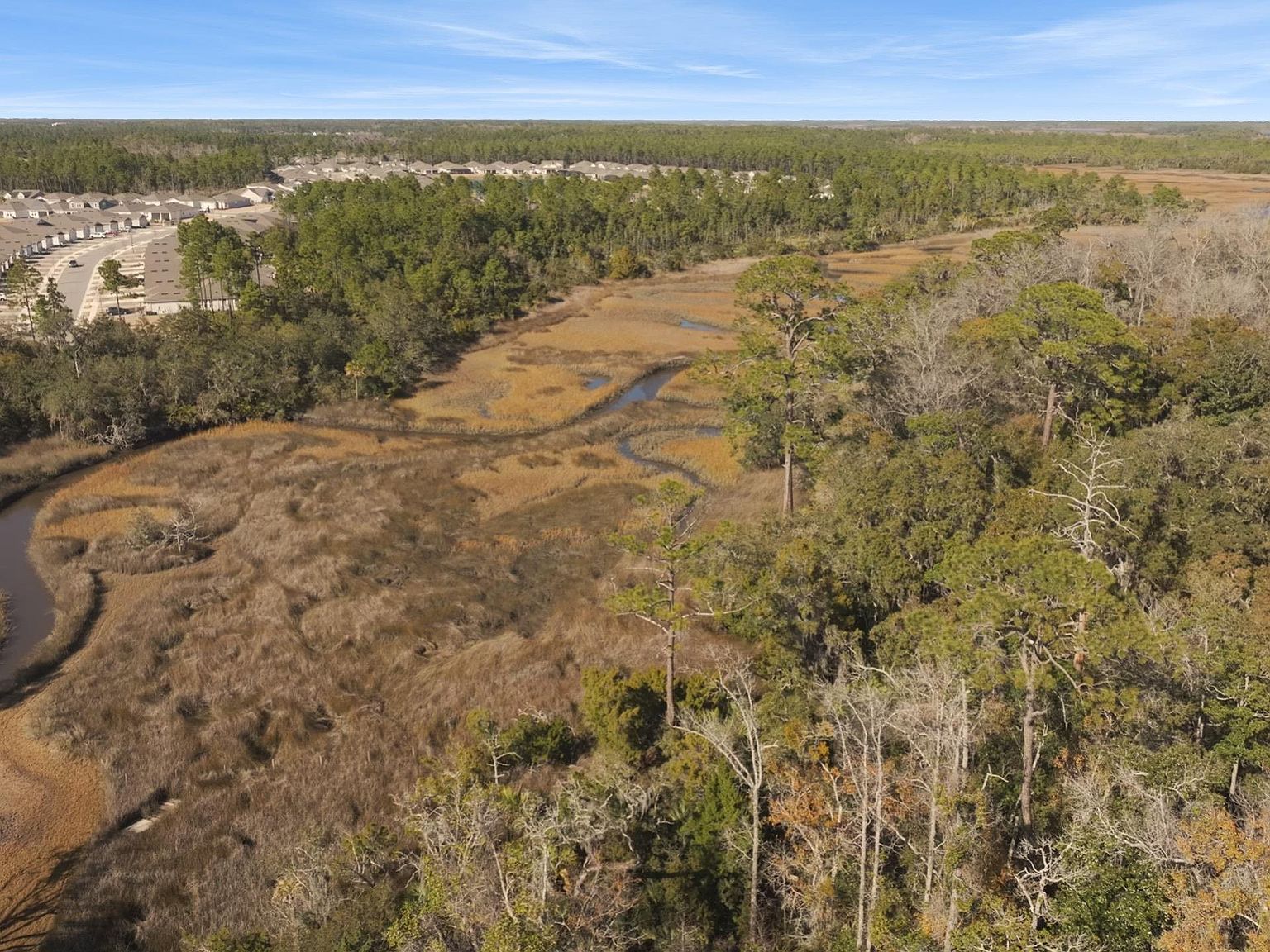 PARCEL 7 Pine Island Rd Ponte Vedra, FL 32081 - Thumbnail 3