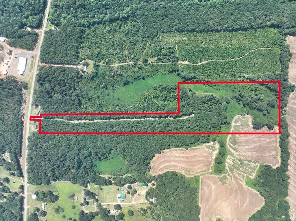 Us Highway 84 Red Level, AL 36474 - Thumbnail 3