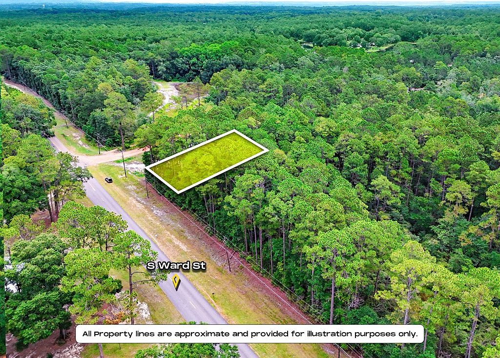 0 S Ward St Geneva, AL 36340 - Thumbnail 3