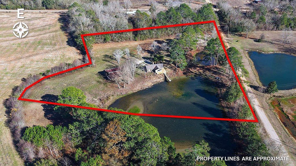 86 County Road 529 New Brockton, AL 36351 - Thumbnail 3