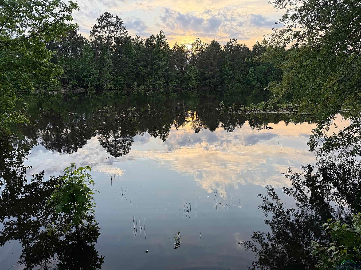 111 Private Road 1122 Gilmer, TX 75645 - Thumbnail 3