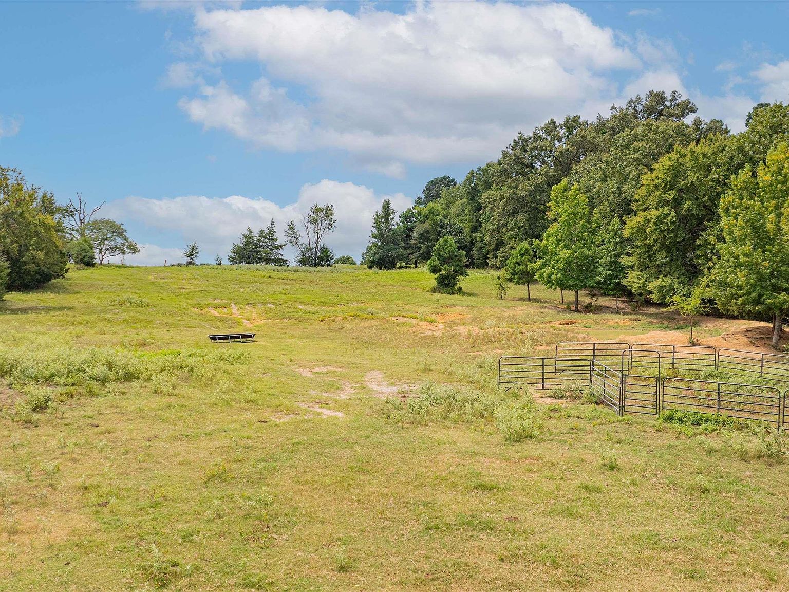 Tbd Fm 726 Diana, TX 75640 - Thumbnail 3