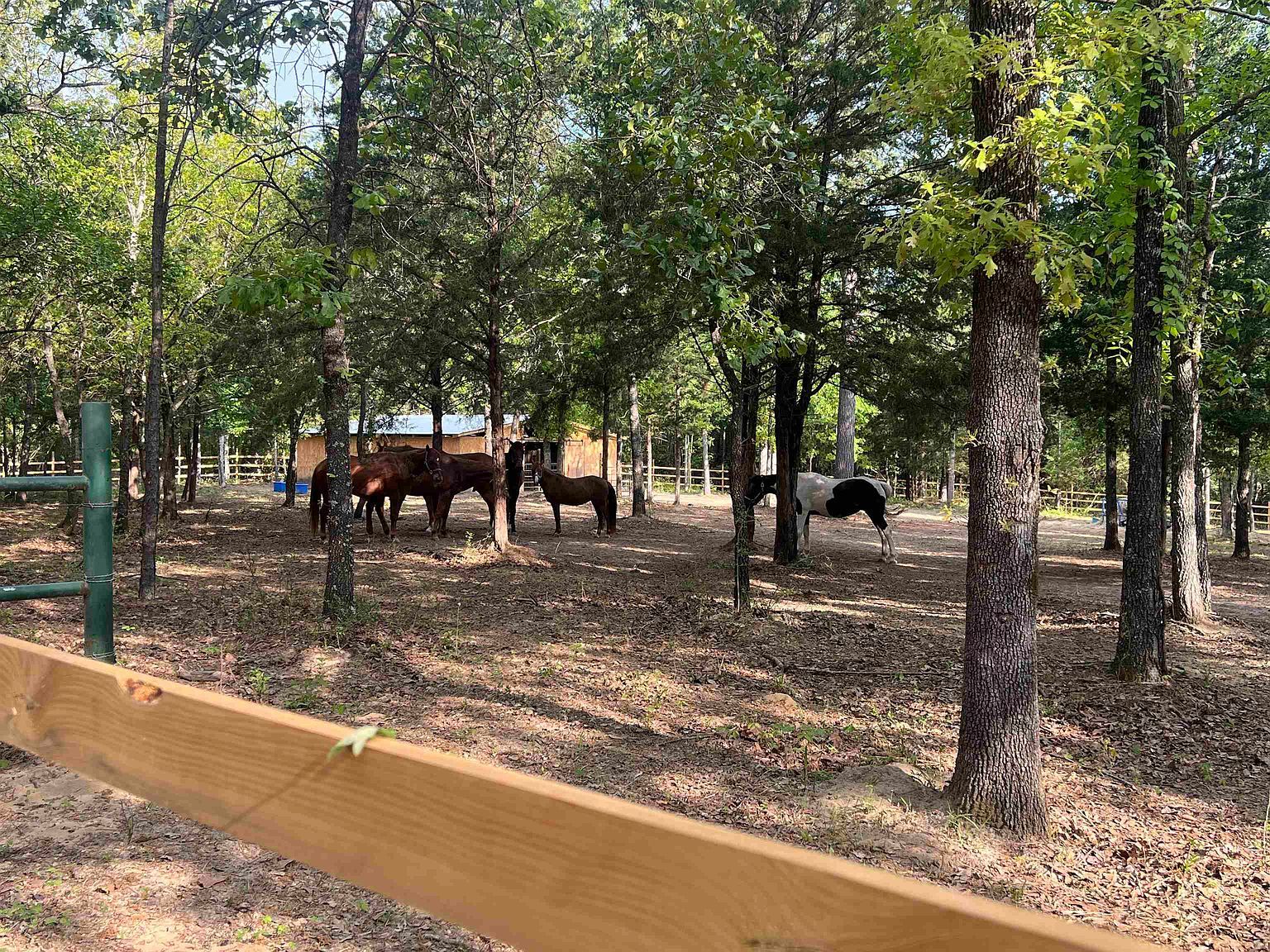 9138 N County Road 2138 Tatum, TX 75691 - Thumbnail 3