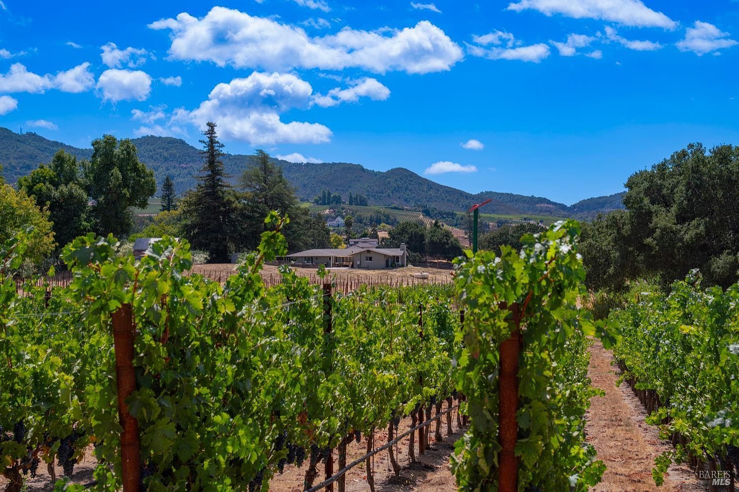 4094 E 3rd Ave Napa, CA 94558 - Thumbnail 3