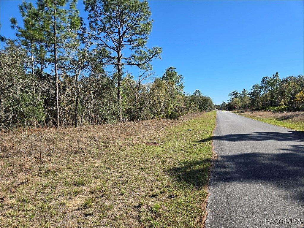 6499 N Pembroke Ter Citrus Springs, FL 34434 - Thumbnail 3