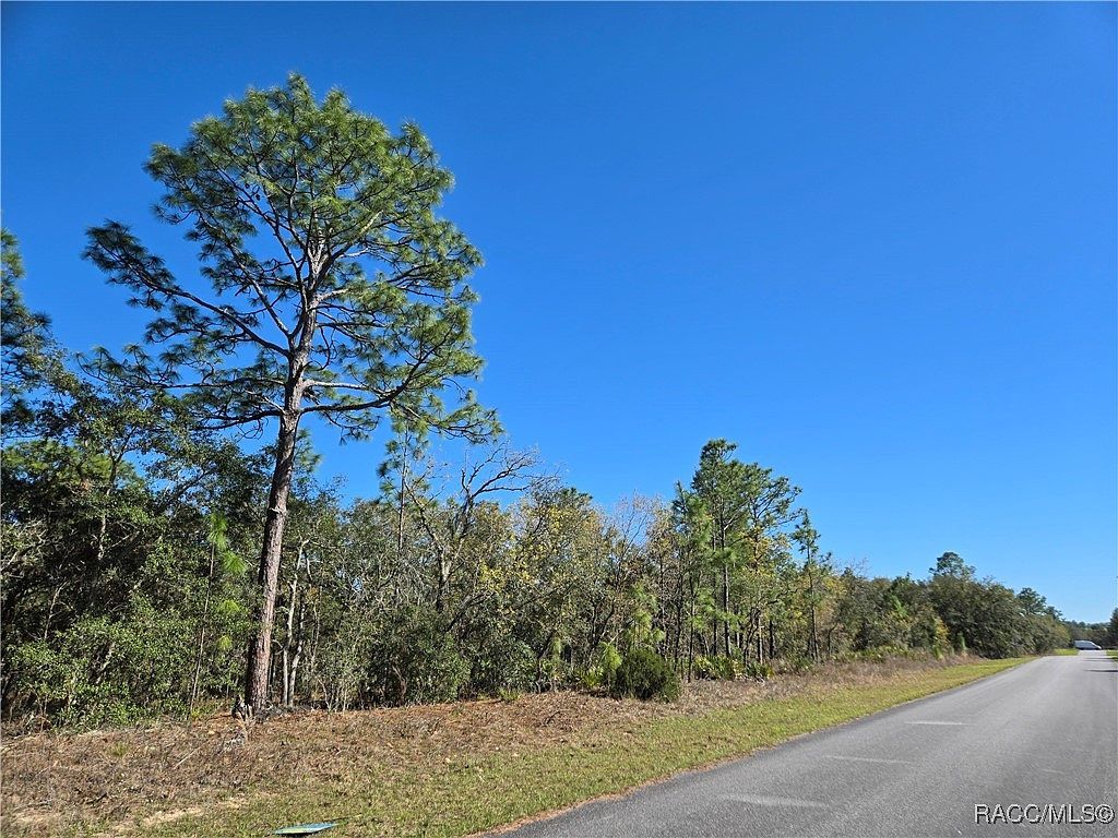 6493 N Pembroke Ter Citrus Springs, FL 34434 - Thumbnail 3