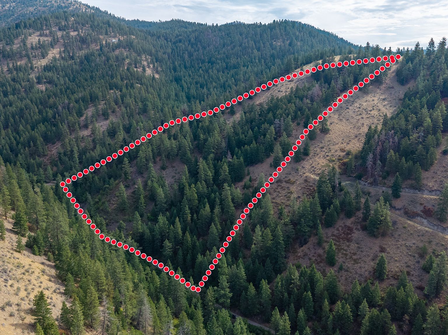 Nhn Copper Ridge Trl Florence, MT 59833 - Thumbnail 3