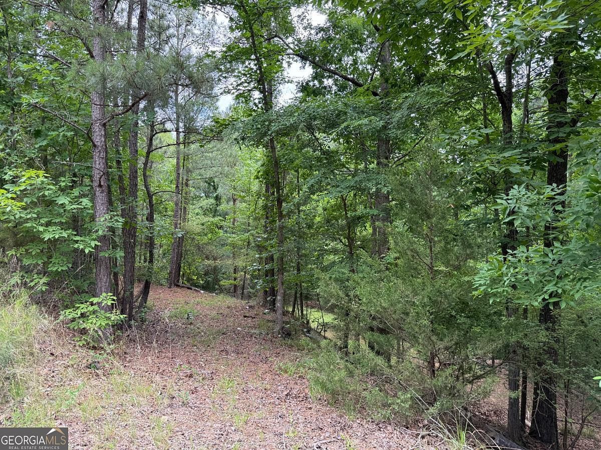 0 Bramlett Cir Elberton, GA 30635 - Thumbnail 3