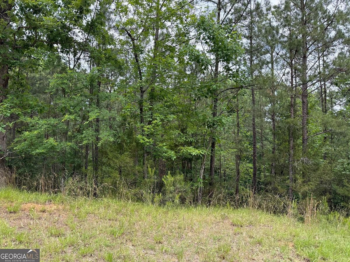LOT 52 Bramlett Dr Elberton, GA 30635 - Thumbnail 3