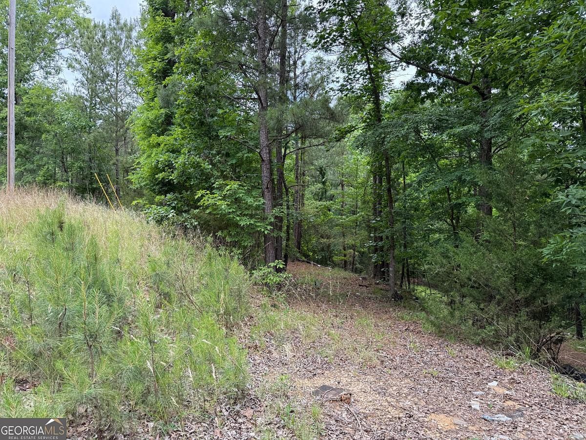 LOT 51 Bramlett Dr Elberton, GA 30635 - Thumbnail 3