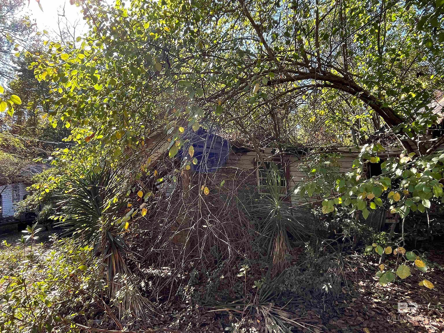 726 Travis St Brewton, AL 36426 - Thumbnail 3