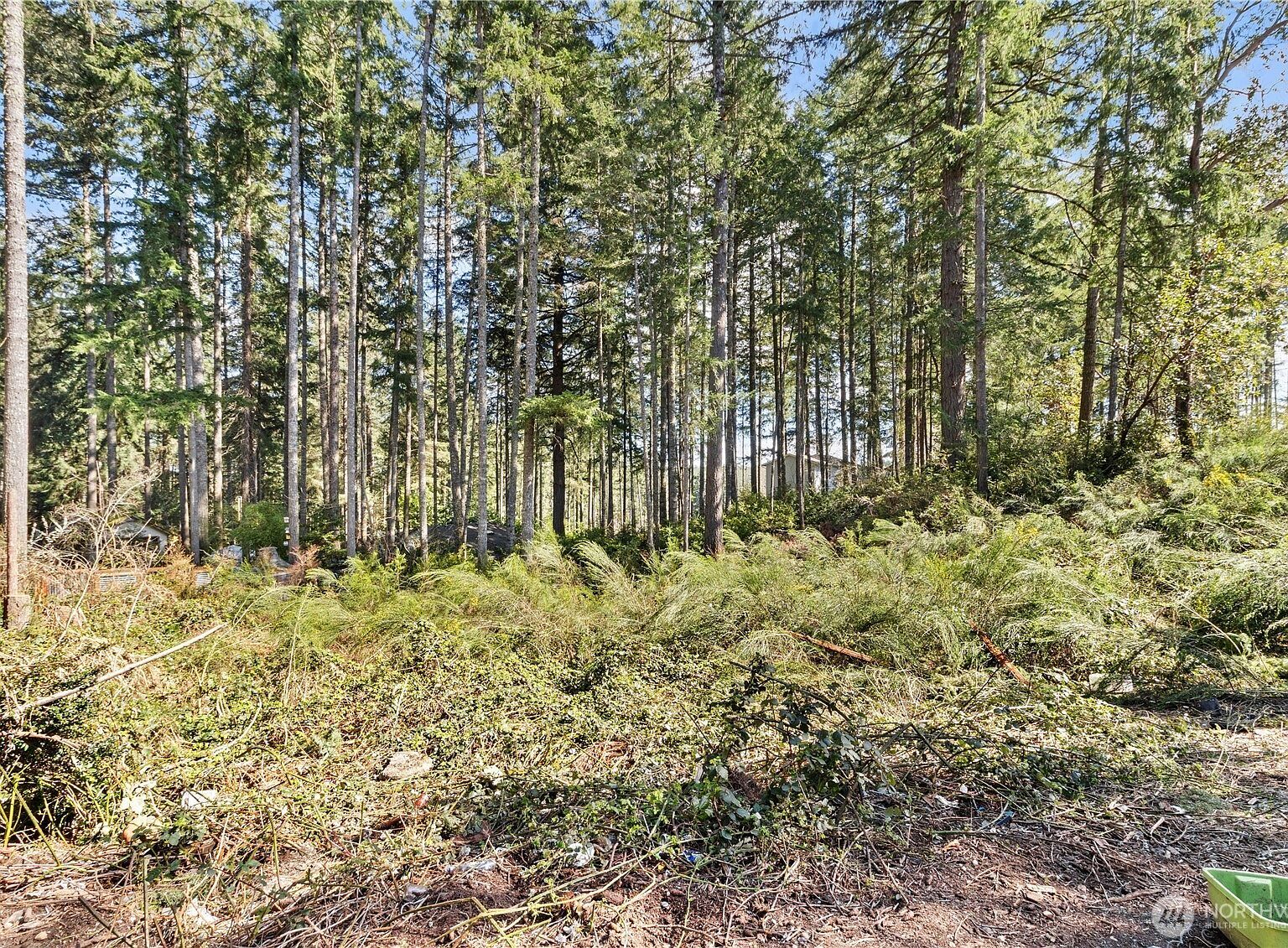 19025 23rd St SW Lakebay, WA 98349 - Thumbnail 3