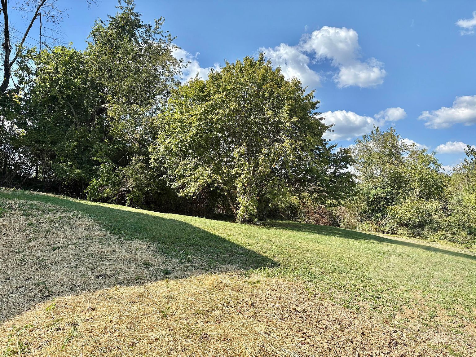 247 Juniper Ct Mount Sterling, KY 40353 - Thumbnail 3