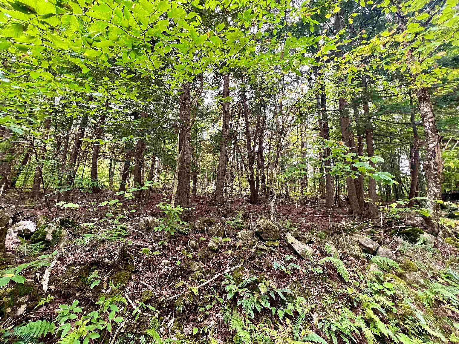 0 Kidder Rd Bradford, VT 05033 - Thumbnail 3