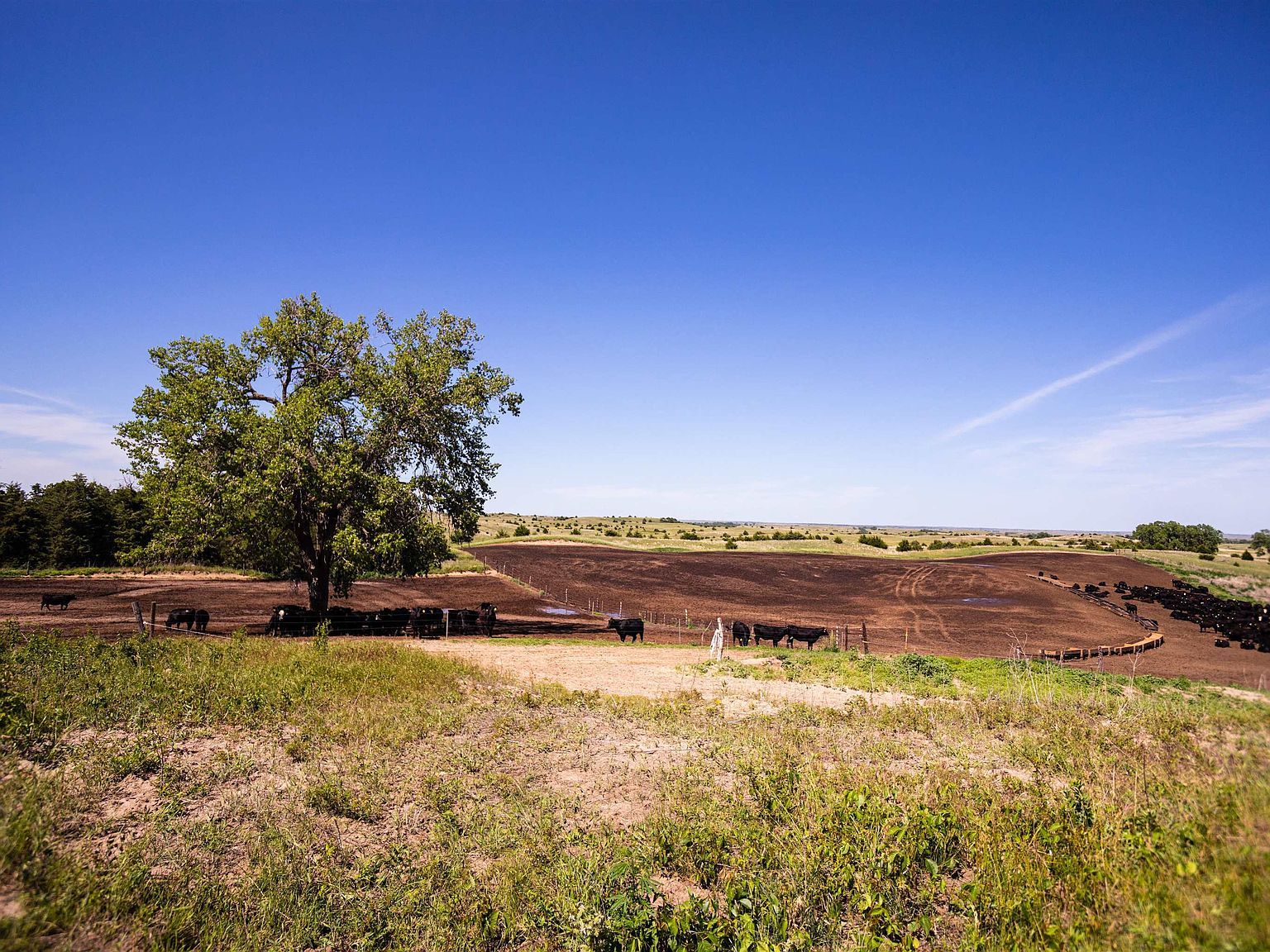 82395 444th Ave Sargent, NE 68874 - Thumbnail 3