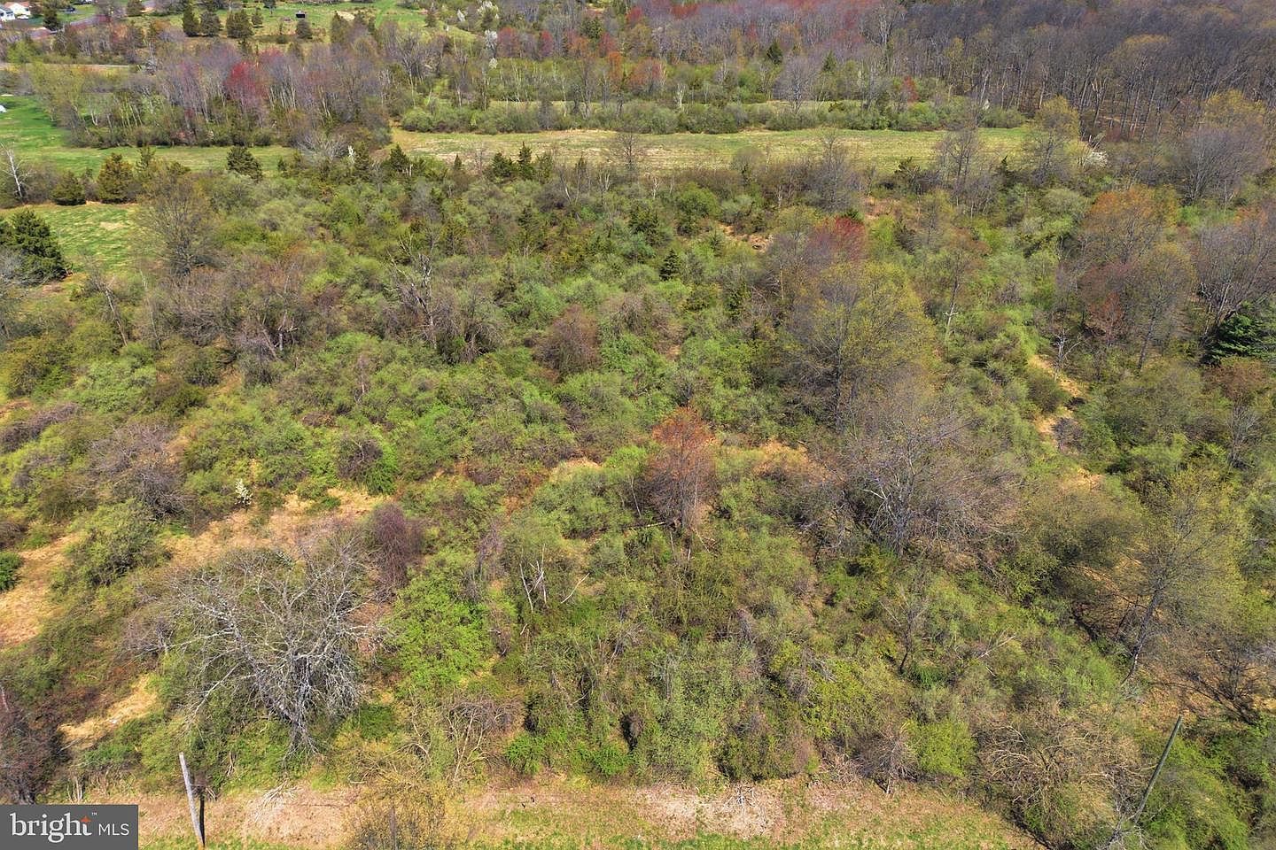 2 Hansens Cor Titusville, NJ 08560 - Thumbnail 3