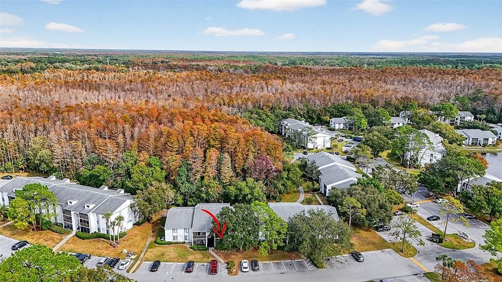 1258 Pine Ridge Cir W APT D1 Tarpon Springs, FL 34688 - Thumbnail 3