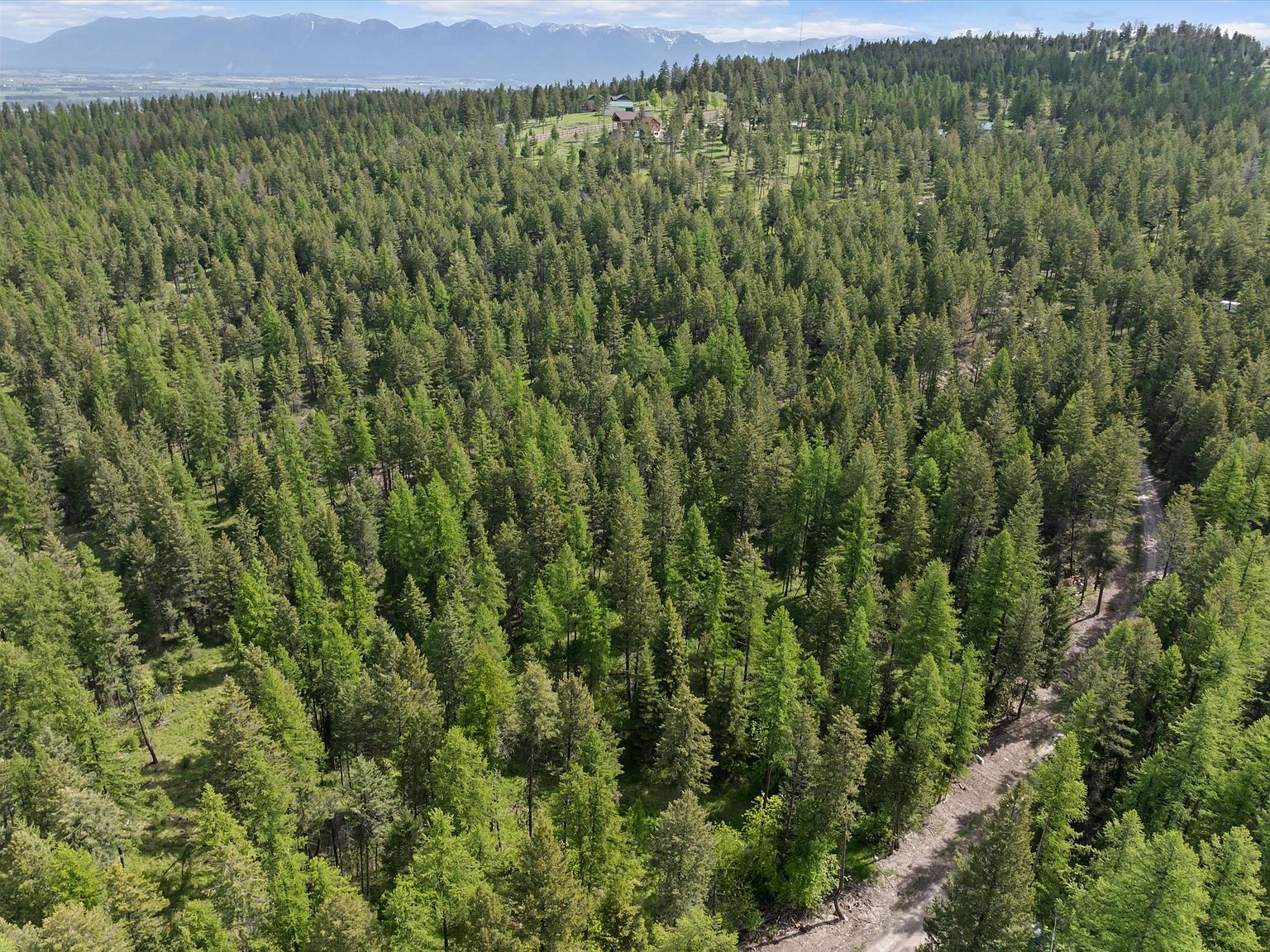 439 Buffalo Trl Somers, MT 59932 - Thumbnail 3