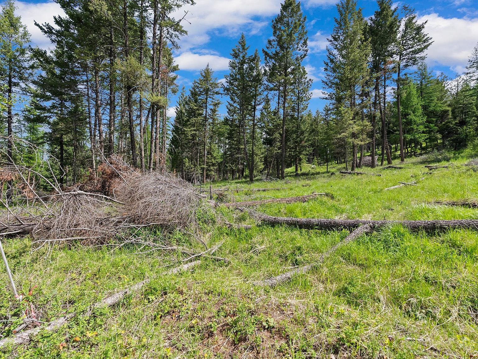 437 Buffalo Trl Somers, MT 59932 - Thumbnail 3