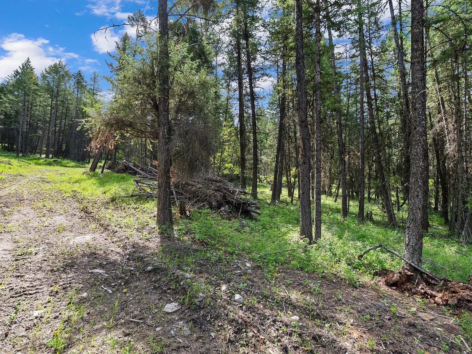 433 Buffalo Trl Somers, MT 59932 - Thumbnail 3