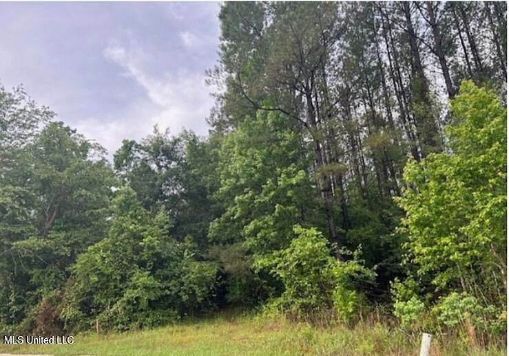301 Woods Rd Mc Lain, MS 39456 - Thumbnail 3