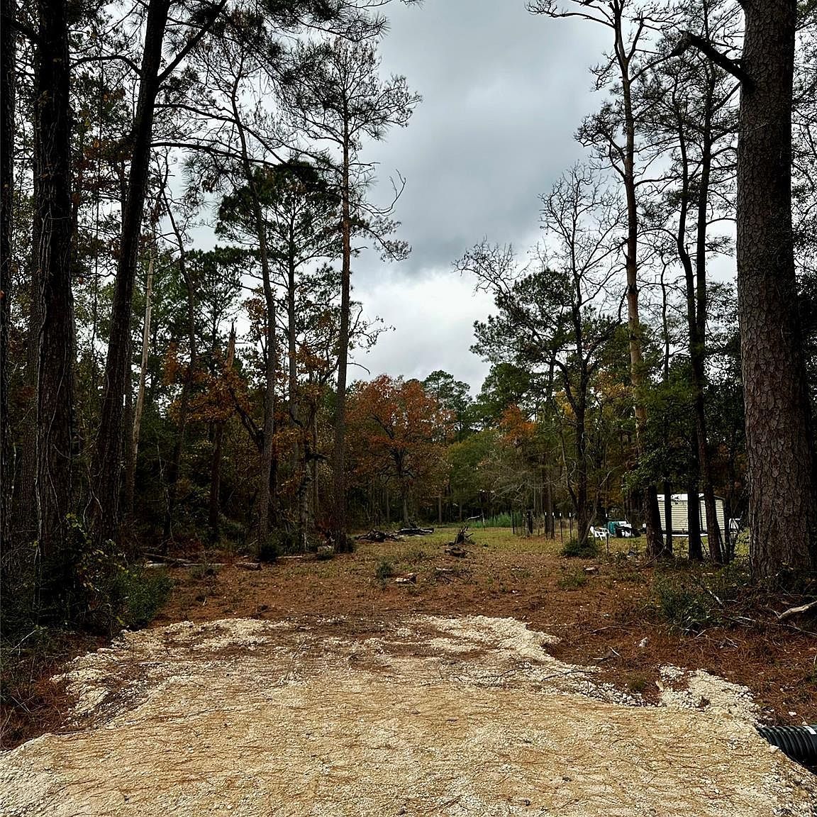 15172 Cherry Laurel Ln Navasota, TX 77868 - Thumbnail 3