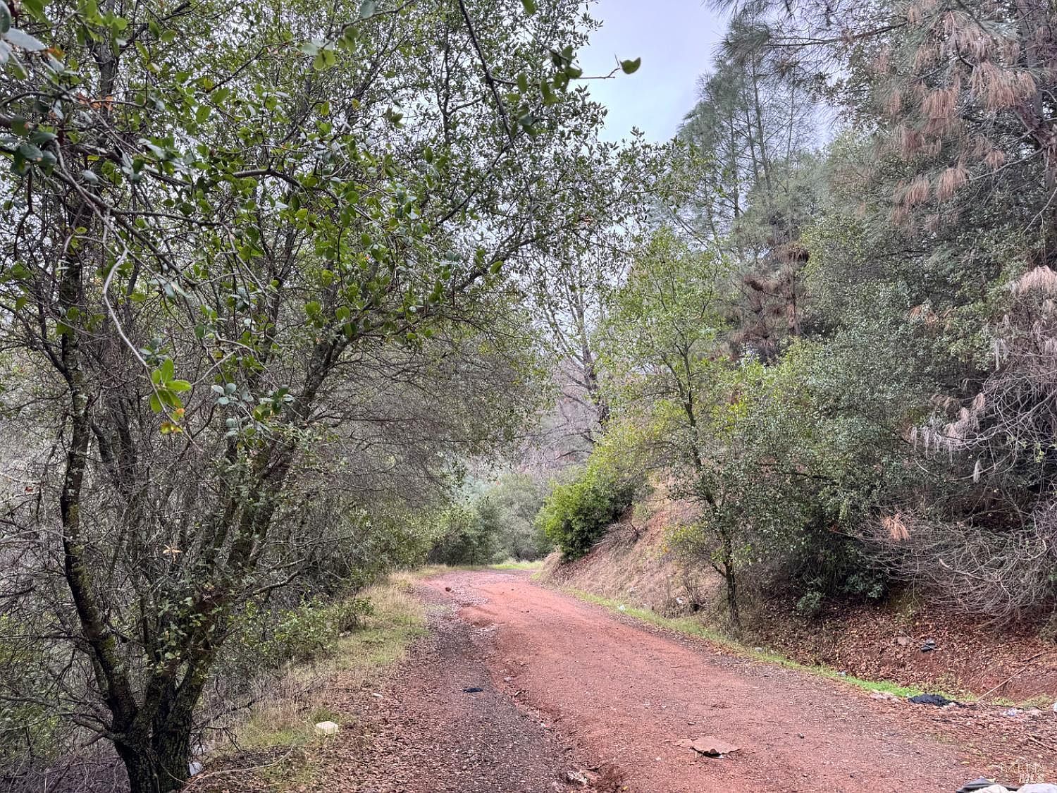 12332 Mountain View Dr Clearlake Oaks, CA 95423 - Thumbnail 3