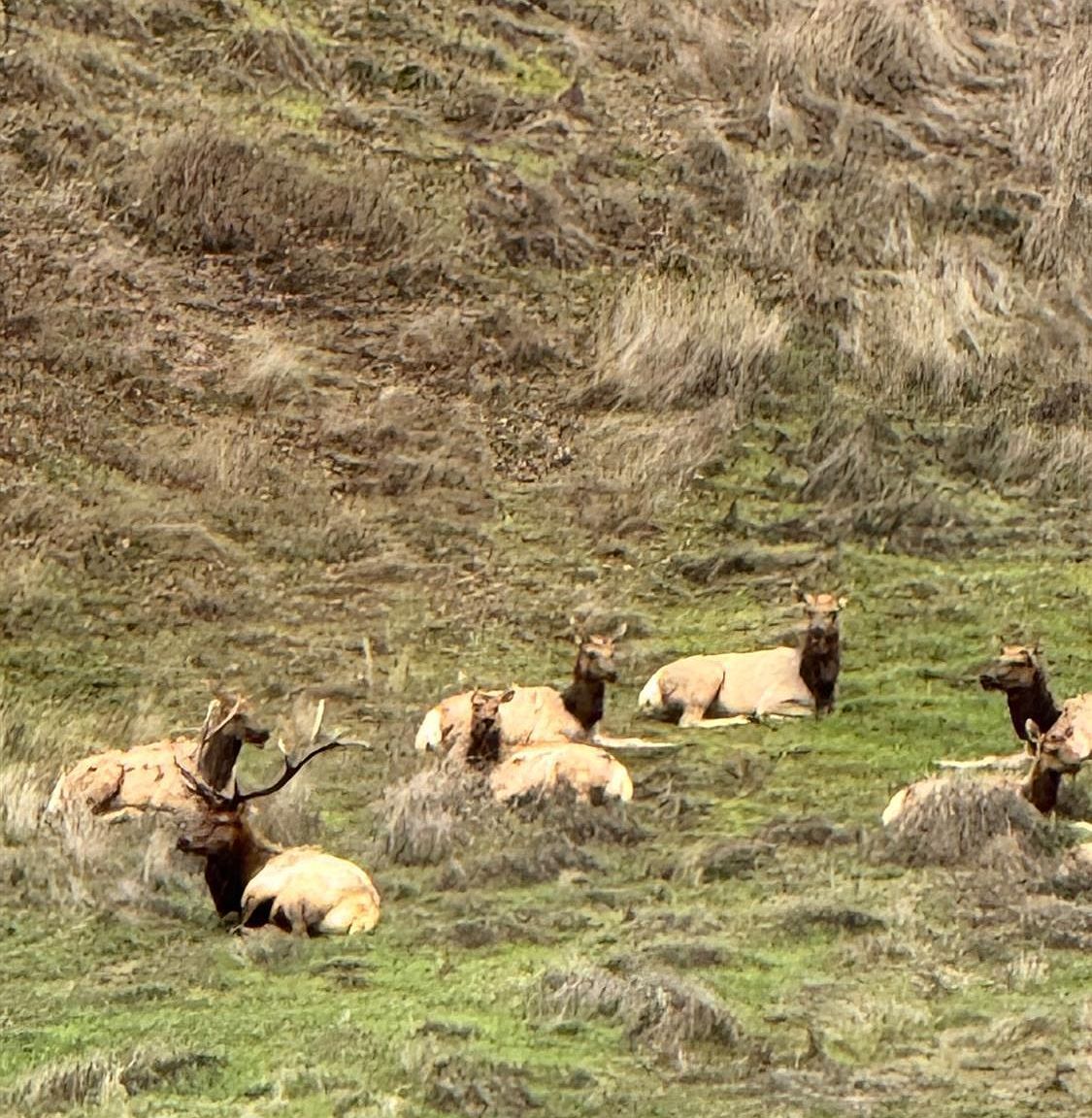 12336 Mountain View Dr Clearlake Oaks, CA 95423 - Thumbnail 3