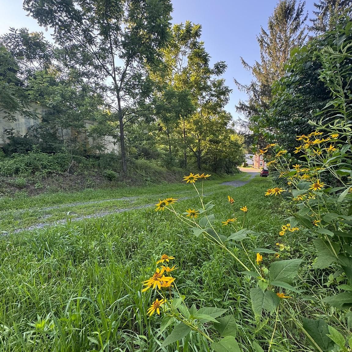 1666 Urban Rd Herndon, PA 17830 - Thumbnail 3