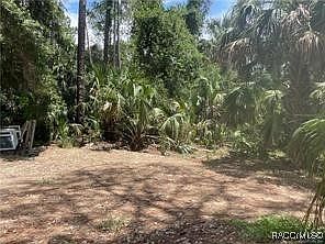 345 Sapp St Inglis, FL 34449 - Thumbnail 3