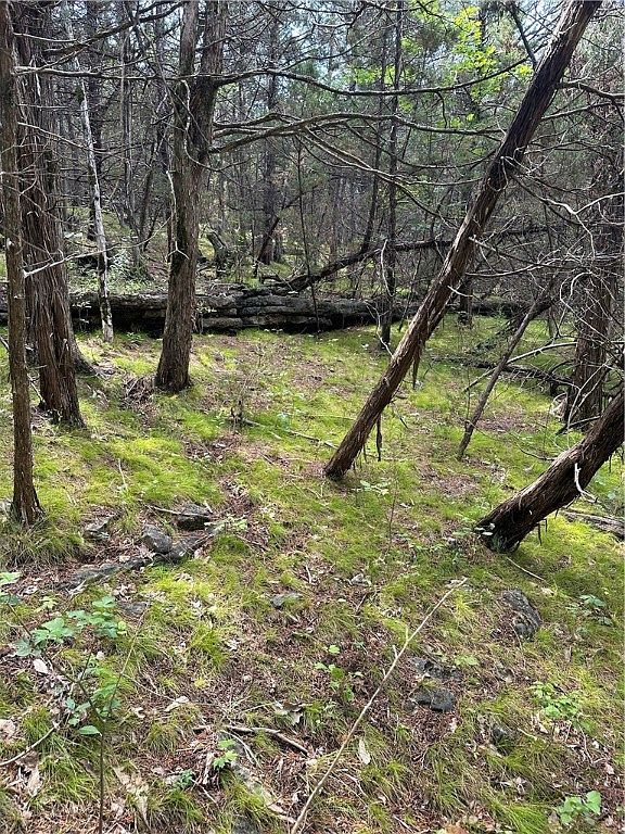 20 Lakeview Ln #25 Eureka Springs, AR 72631 - Thumbnail 3