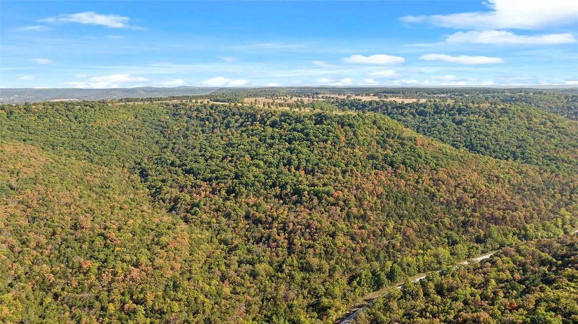 Highway 221s Berryville, AR 72616 - Thumbnail 3