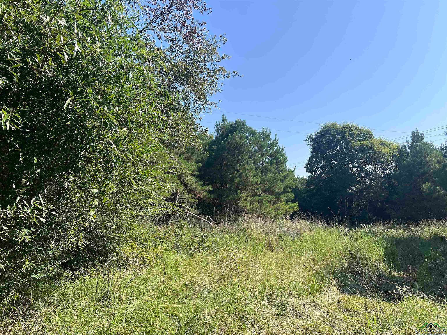 4127 Fm 139 Joaquin, TX 75954 - Thumbnail 3